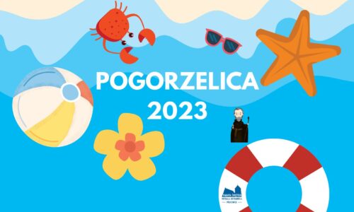 Kolonia w Pogorzelicy 2023