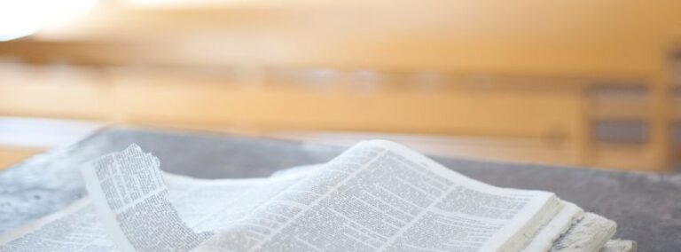 Read more about the article SAMUEL